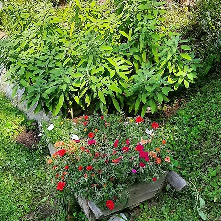 La Stazion * Paderno (Belluno)