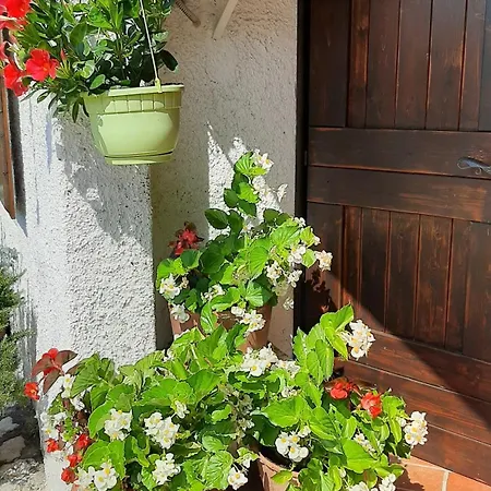 Tatil Evi La Stazion