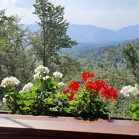 La Stazion Tatil Evi *